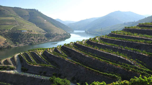 Douro Valley Private Tour
