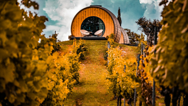Quinta da Pacheca - La Maison du Vin Hôtel ****