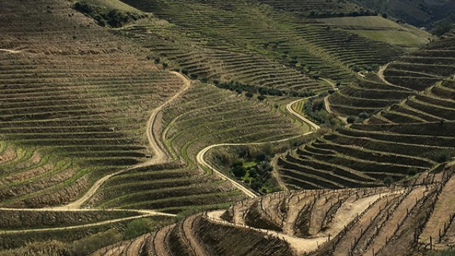 Route des Vignes