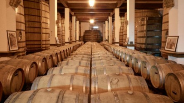 Visit to the Favaios Winery & Bread and Wine Museum