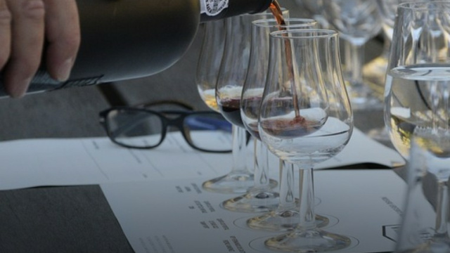 Initiation course to wine taste in Pinhão