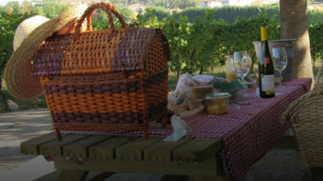 Monverde – Terras do Minho Wine & Food Tasting