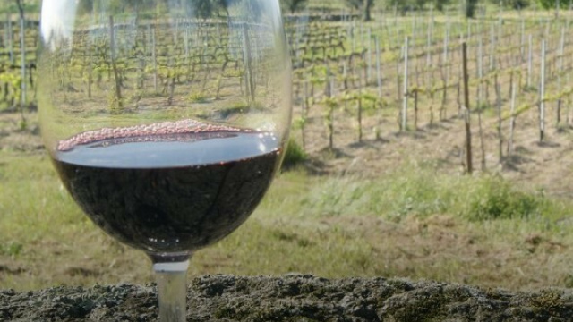 Tour & Classique des Vins du Dão