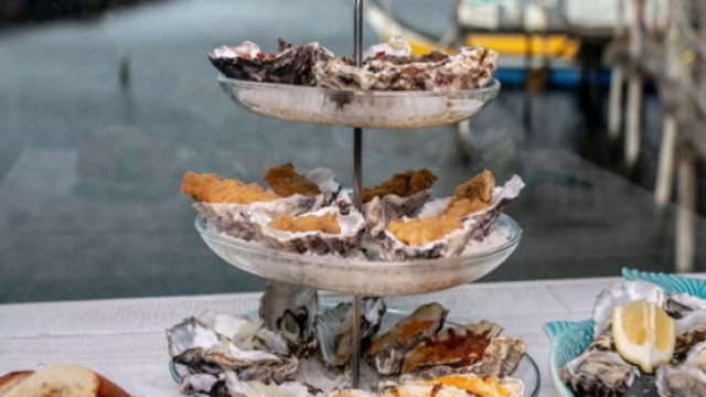 Tour Moliceiro con degustación de ostras