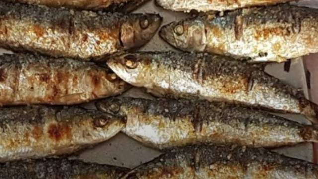 Market & Fisherman Food Tour