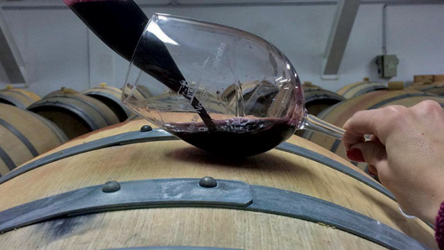Visit to Adega da Figueirinha with wine tasting