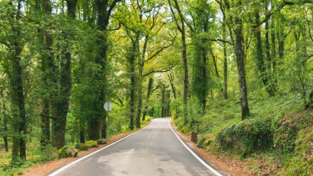 Panoramic route “Mountain Roads” Virtual Scene