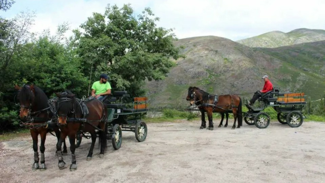 Passeio em charrete típica