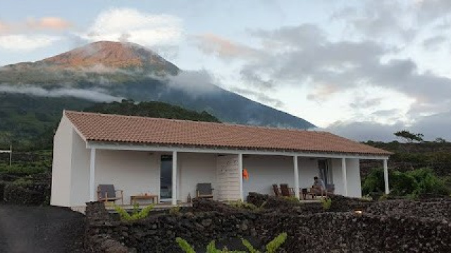 Insula Atlantis Apartments