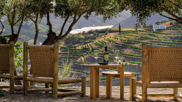 Arrivée dans la vallée du Douro avec déjeuner, visite de vignoble et dîner de réseautage