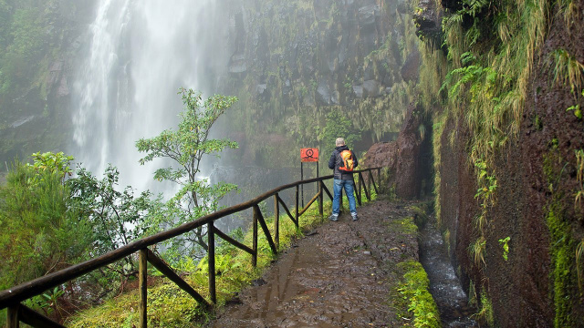 Conexión con la Naturaleza con Caminata Levada, Picnic Regional y Cena en una Granja Local