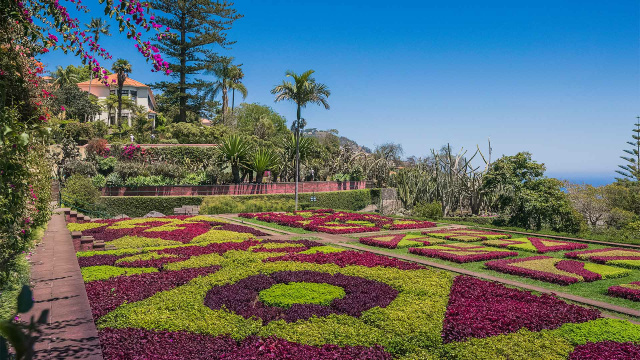 Tour privado de Funchal (Todo Incluido)