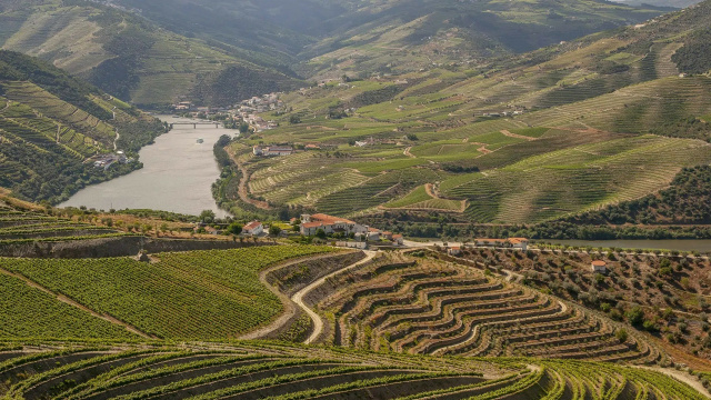 Vallée du Douro