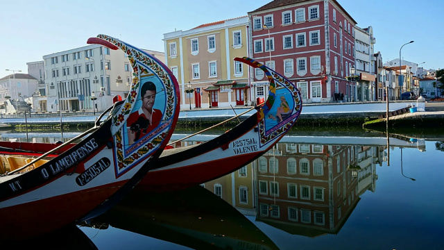 Coimbra & Aveiro Private Tour