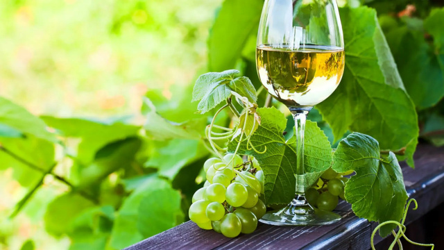 Private Vinho Verde Wine Tour