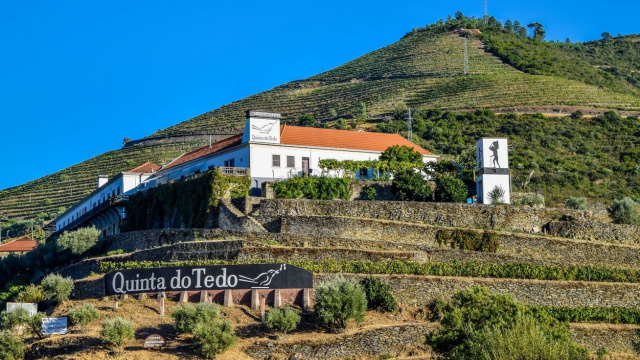Visit and classic tasting at Quinta do Douro