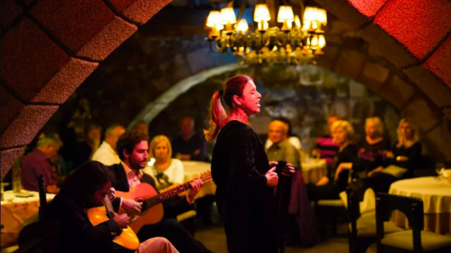 Premium dinner with Fado in Porto