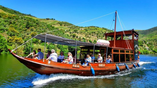 Paseo regular en barco de 1 hora por el río Duero